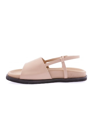 Dgn 3015-23y Kadin Kalin Bantli Sandalet 3015-2261-R12632 Ten Rengi