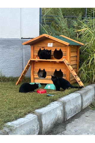 Pati Emlak Ahşap Kedi Evi Dış Mekan Kedi Kulübesi