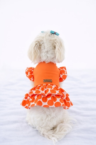 Kedi - Köpek Yazlık Pamuklu Viskon Elbise - Kıyafet - Tişört
