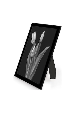 9x12 Picture Frame With Polished Plexiglass - Set Of 12 - Signature Collection - Picture Frames With Engineered Wood - Photo Frame For Tabletop And Wall Display - Black