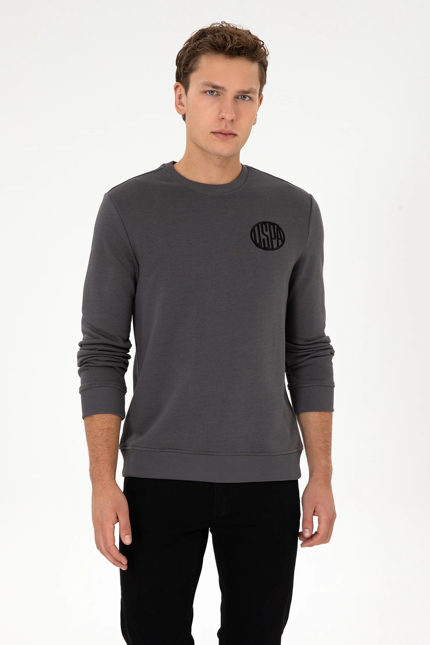 U.S. Polo Assn. Erkek Regular Fit Bisiklet Yaka Gri Sweatshirt 50308717-VR024