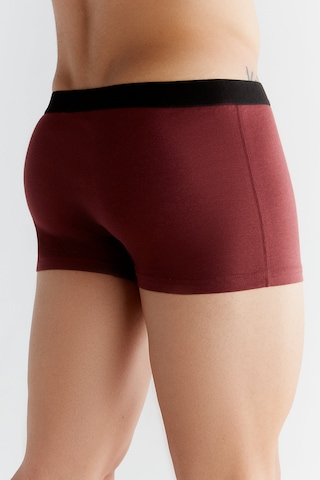 Albero Natur Gots Sertifikalı Organik Pamuk Erkek Trunk Boxer İç Çamaşırı Bordo