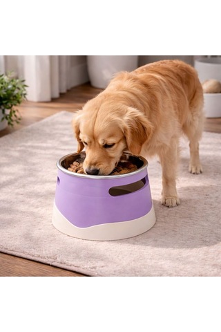 İsime Özel Yükseltilmiş Köpek Mama Kabı Paslanmaz Çelik Hazne, Ergonomik Tasarım
