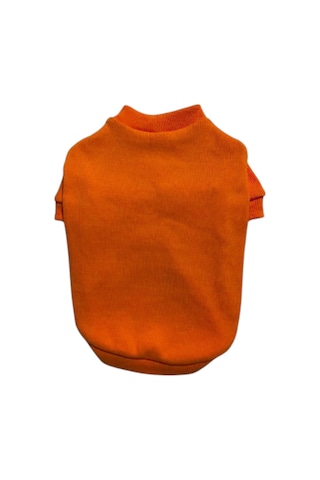 Gedyco Turuncu Kaşkorse Küçük Irk Köpek Sweatshirtü