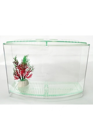 Bölmeli Izgaralı Betta Beta Kabı Tankı Akvaryum 1800 Ml - 19x8x13 Cm Yeşil