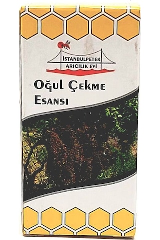 Oğul Çekme Esansı - İstanbul Petek