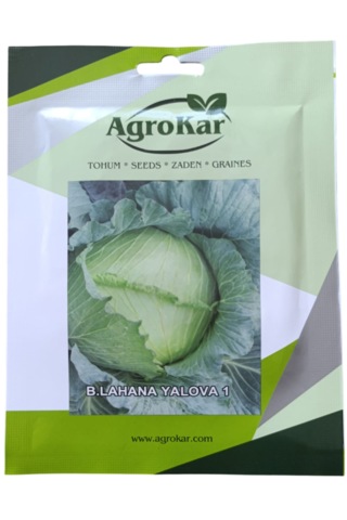 Beyaz Lahana Kelem Tohumu 10 Gr 1 Paket