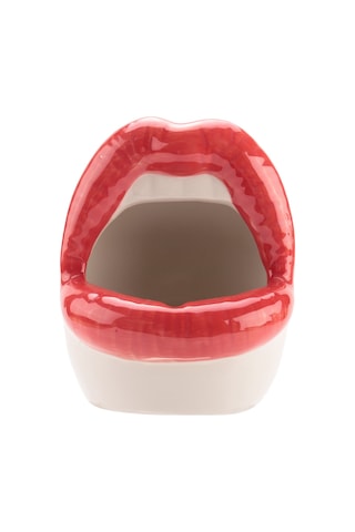 Yaratıcı Sukulent Kaktüs Saksısı, Seramik Küçük Çiçek Bitkileri Kapları Büyük Dudaklar Saksı Ev Ofisi İçin, Kırmızı