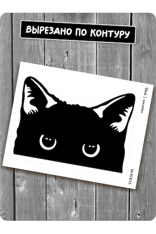 Stadi Balkondan Bakan Kedi Çıkartması 194985511 Siyah