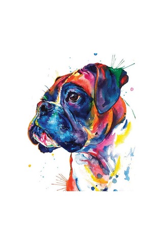 Renkli Boxer Çerçevesiz 40x50 Sayılarla Boyama Hobi Seti Çok Renkli