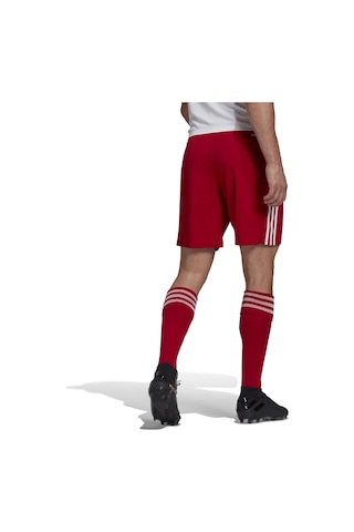 Adidas Squad 21 Sho Erkek Futbol Maç Şortu Gn5771 Kırmızı