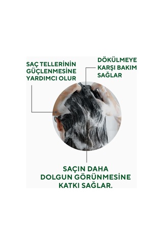 Biberiye Saç Bakım Şampuanı 250 Ml - Keratin, Biotin Ve Hidrolize Kolajen İçeren Hacim Ve Parlaklık Tamamlayıcı
