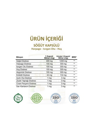 Gökçek Şifa Söğüt (Willow Capsule) 60 Kapsül