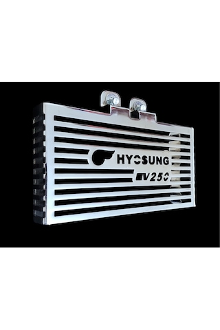 Hyosung Gv 250 Radyator Koruma