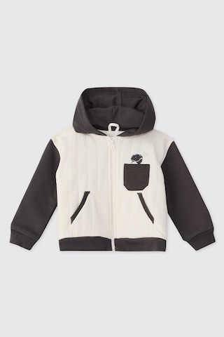 Panço Erkek Bebek Dinozor Baskılı Antrasit Sweatshirt Gri