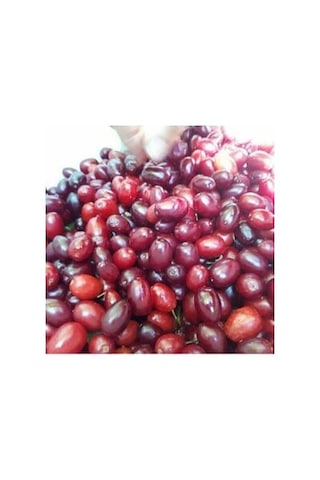 Şifa Gıda Donmuş Kızılcık Meyvesi 2 KG