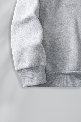 Macklin Unisex Kadın Erkek Baskısız Basic Yarım Fermuarlı Dik Yaka Basic Sweatshirt Gri Mck0606 Gri