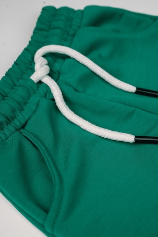 Heyadventure Erkek / Kız Çocuk Cepli Jogger Eşofman Altı Paçası Lastikli Yeşil Yeşil