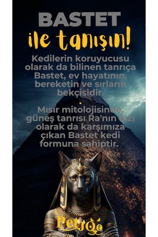 Petjoo 1.Bastet Sarı-Gri Qr'lı Kedi Künyesi