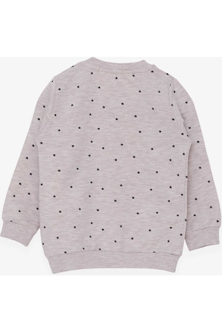 Breeze Kız Bebek Sweatshirt Mutlu Kedicikler 4 Ay-1.5 Yaş, Bej Me ((550294310)
