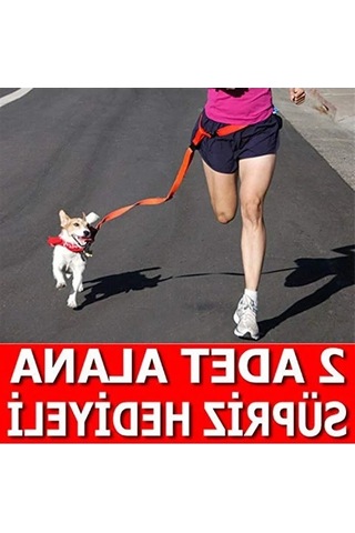 Ayarlanabilir Kayışlı Mor Renkli Kedi Ve Köpek Gezdirme Tasma