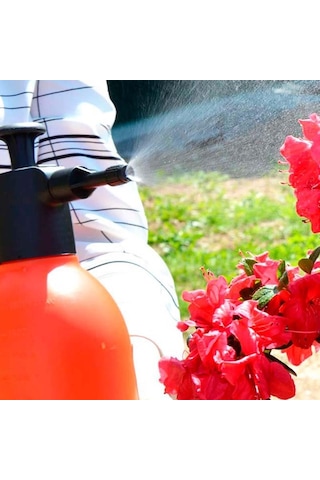 Dimartino Bertanı Sırıo 2000 Bahçe Pompası 2 L