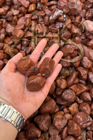 Kırmızı Bordo Dolomit Çakıl Taşı 4-6 Cm 2 Kg Dekoratif Bahçe Peyzaj Saksı Akvaryum Teraryum
