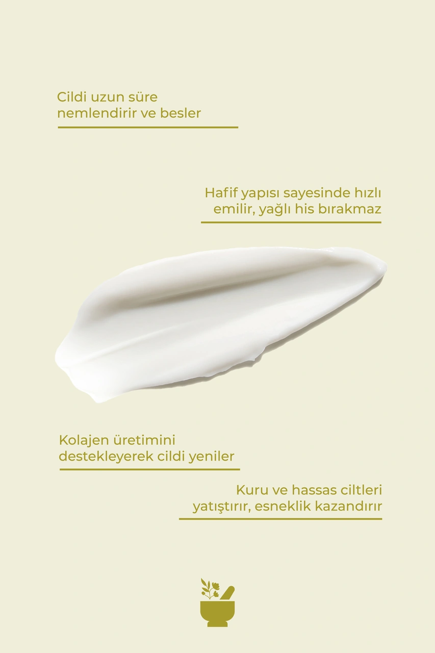 Cosmed Day-to-day Ultra Moisturizing & Nourishing Cream - Su Bazlı Nemlendirici Cilt Bakım Kremi 40 ml