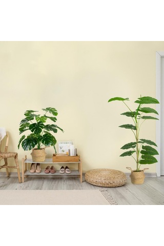Siyah Saksıda Yapay Monstera Ağacı 60 Cm