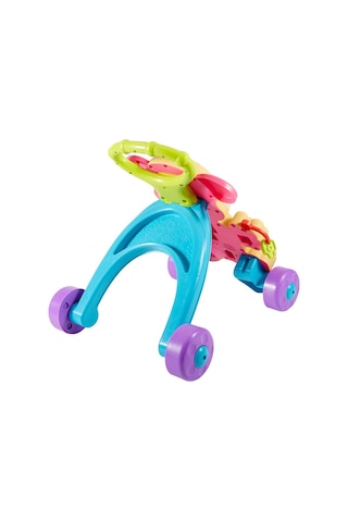 Fisher Price Eğitici Köpekçik Yürüteç Oyuncak