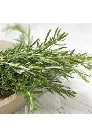 Kurutulmuş Biberiye 25 Gr - Şile Aromatik Bitkiler Tarımsal Kalkınma Kooperatifi