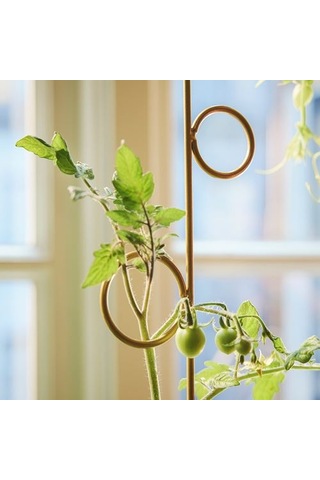 Ikea Doftrıps Bitki Desteği, Çok Renkli, 2'li Set / İç/dış Mekan