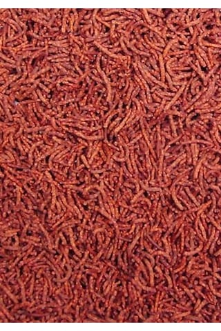Ocean Nutrition Discus Formula Pellets 125 G
