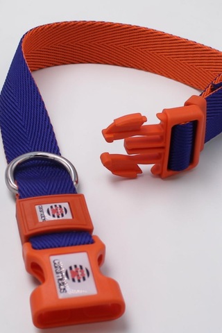 Caramelos Orta Ve Büyük Irk Ayarlanabilir Köpek Boyun Tasması, 2,5 Cm Tl Lacivert - Turuncu