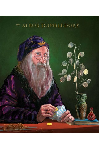 Harry Potter And The Philosopher S Stone: Illustrated Edition