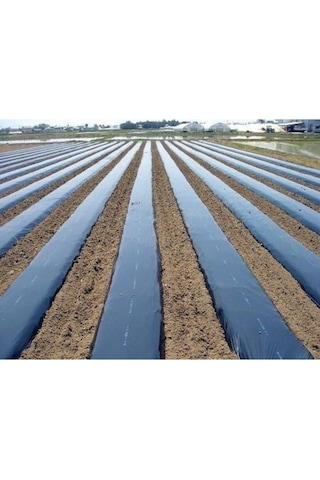 Çilek Naylonu Malç Örtüsü 50 Mikron Siyah Sebze Örtüsü Uvli 1. Kalite 100 X 60 Mt