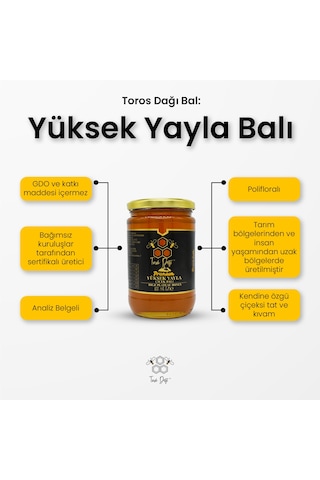 Toros Dağı Yüksek Yayla Balı Premium 860 G