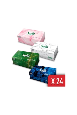 Sofia Kutu Mendil 100 Yaprak 24 Paket