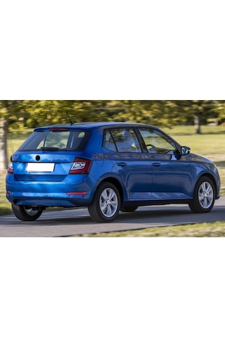 Skoda Fabia 3 2019-2022 Tavan Radyo Anten Çubuğu 6c0035849e