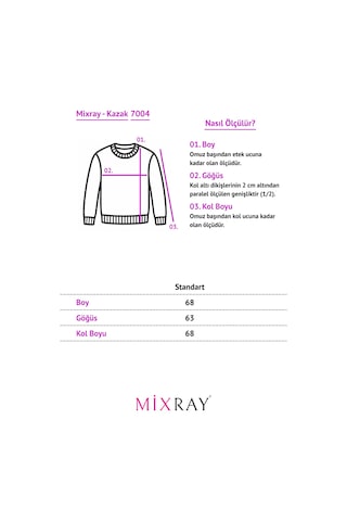 Mixray 7004 Kadın Düğmeli Basic Triko Kazak Antrasit