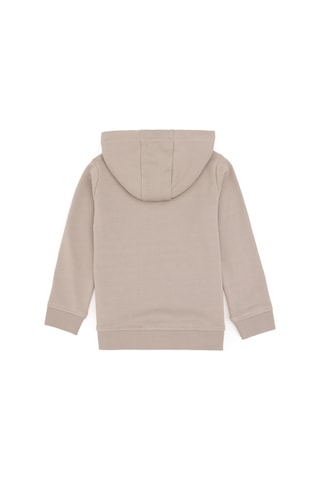 U.S. Polo Assn. Erkek Çocuk Taş Basic Kapüşonlu Sweatshirt 50289134-VR049