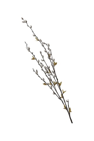 Pasabahce Osier 121 Cm - 1 Adet Cok Renkli