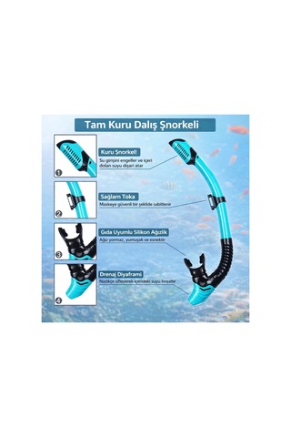 Yetişkinler İçin 3 İn 1 Profesyonel Dalış Seti Palet Gözlük Şnorkel Seti Dalış Yüzme Ekipmanı Turkuaz - 863068744 Turkuaz