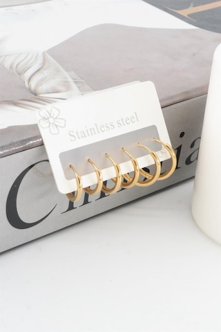 Kadın Kararmaz 316 L Çelik 6'lı Halka Set Küpe - Altın