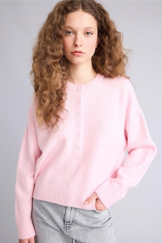 Defacto Regular Fıt Bisiklet Yaka Triko Kazak G9736ax26sppn473 Pembe-pn473