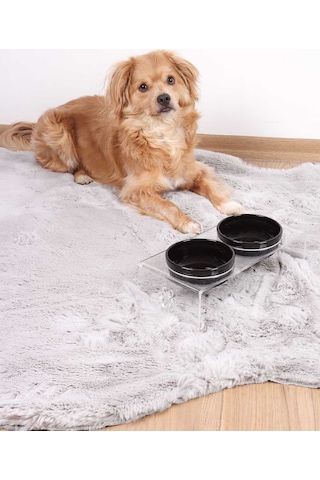 2'li Seramik Dekoratif Kedi Ve Köpek Pleksi Mama & Su Kabı Paspas