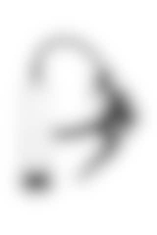 Erotica 22 CM Passion Pump Pistol Tetikli Penis Pompası