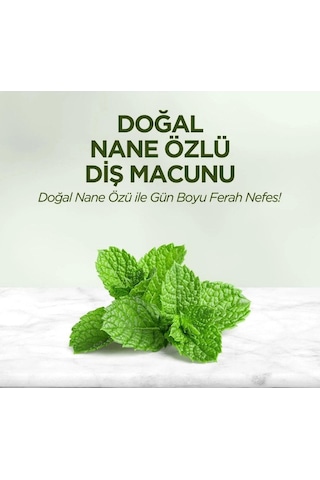 Eyüp Sabri Tuncer Doğal Nane Özlü Diş Macunu 4 x 90 ML