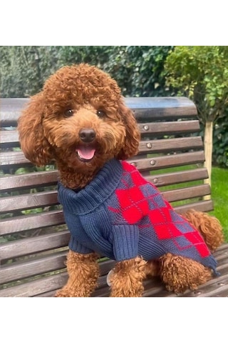 Miniş Kırmızı Baklavalı Küçük Köpek Kazağı