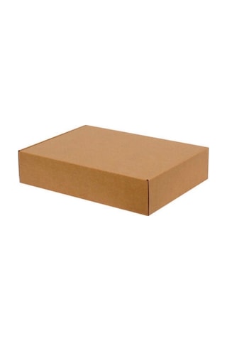 Kraft Kilitli Kargo Kutusu / Ebat: 30x20x5 cm (100 adet)